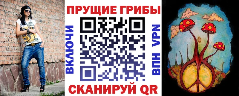 наркошоп  Давлеканово  Псилоцибиновые грибы Psilocybine cubensis 